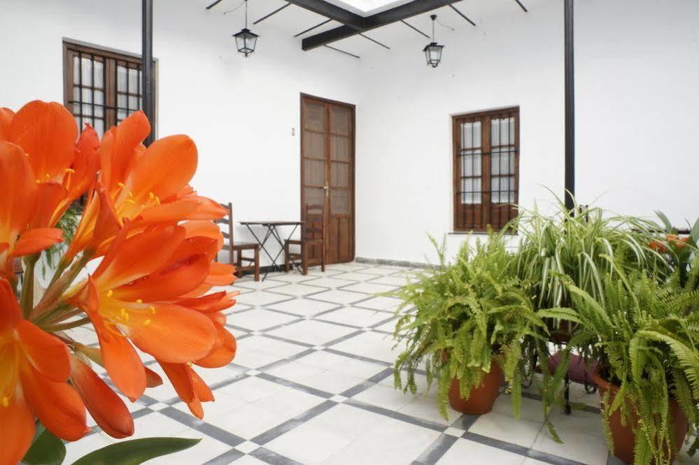 Fuentepiedra Casa Rural Categoria Superior Almodovar del Rio Ngoại thất bức ảnh